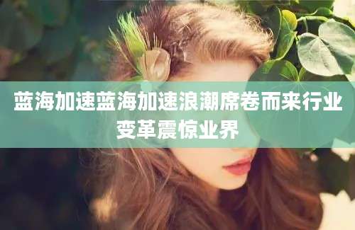 蓝海加速蓝海加速浪潮席卷而来行业变革震惊业界