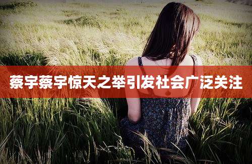 蔡宇蔡宇惊天之举引发社会广泛关注