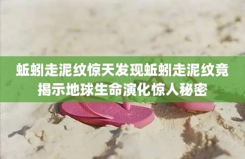 蚯蚓走泥纹惊天发现蚯蚓走泥纹竟揭示地球生命演化惊人秘密
