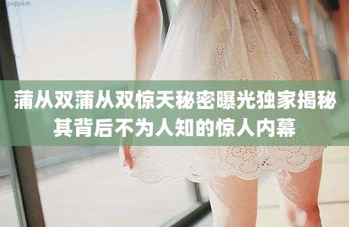 蒲从双蒲从双惊天秘密曝光独家揭秘其背后不为人知的惊人内幕