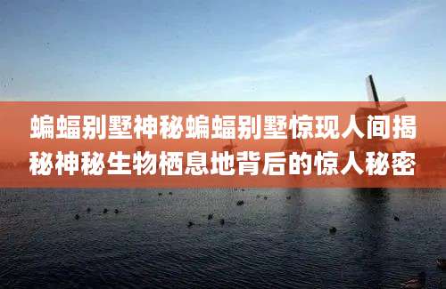 蝙蝠别墅神秘蝙蝠别墅惊现人间揭秘神秘生物栖息地背后的惊人秘密