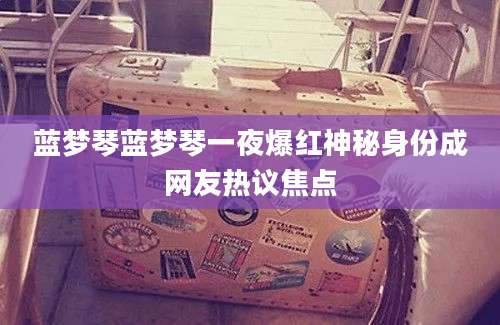 蓝梦琴蓝梦琴一夜爆红神秘身份成网友热议焦点