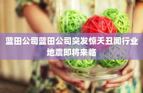 蓝田公司蓝田公司突发惊天丑闻行业地震即将来临