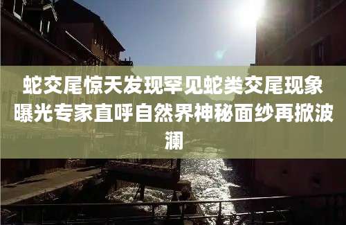 蛇交尾惊天发现罕见蛇类交尾现象曝光专家直呼自然界神秘面纱再掀波澜