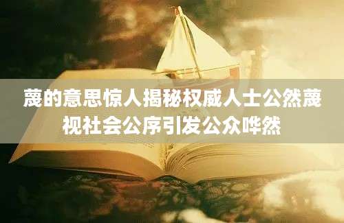 蔑的意思惊人揭秘权威人士公然蔑视社会公序引发公众哗然