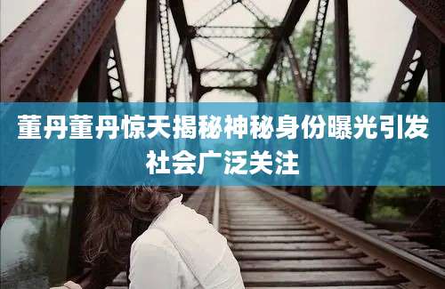 董丹董丹惊天揭秘神秘身份曝光引发社会广泛关注