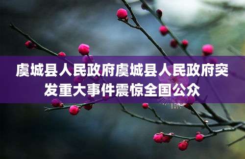 虞城县人民政府虞城县人民政府突发重大事件震惊全国公众