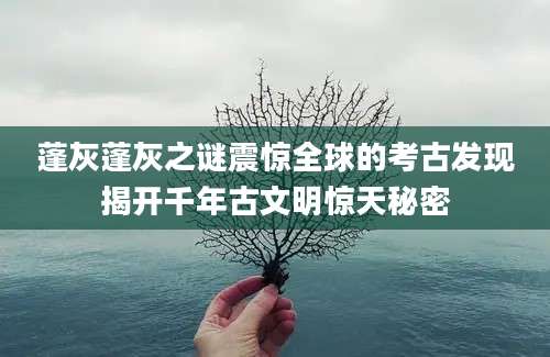 蓬灰蓬灰之谜震惊全球的考古发现揭开千年古文明惊天秘密
