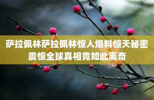 萨拉佩林萨拉佩林惊人爆料惊天秘密震惊全球真相竟如此离奇