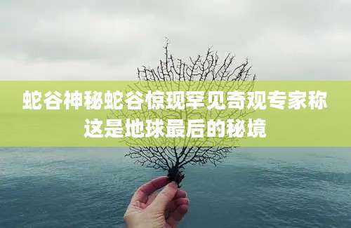蛇谷神秘蛇谷惊现罕见奇观专家称这是地球最后的秘境