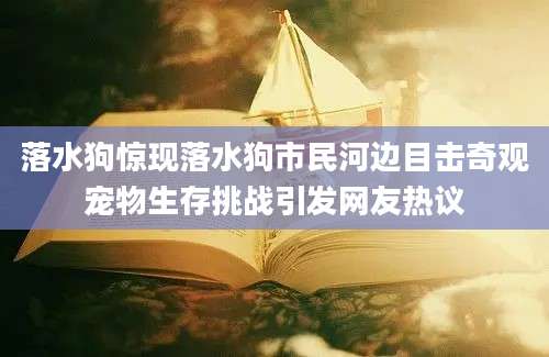 落水狗惊现落水狗市民河边目击奇观宠物生存挑战引发网友热议