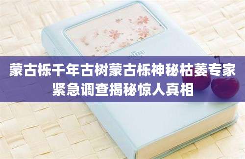 蒙古栎千年古树蒙古栎神秘枯萎专家紧急调查揭秘惊人真相