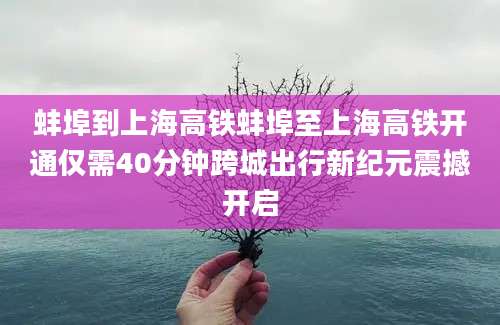 蚌埠到上海高铁蚌埠至上海高铁开通仅需40分钟跨城出行新纪元震撼开启