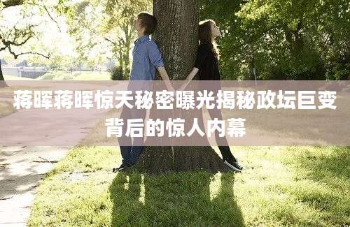 蒋晖蒋晖惊天秘密曝光揭秘政坛巨变背后的惊人内幕
