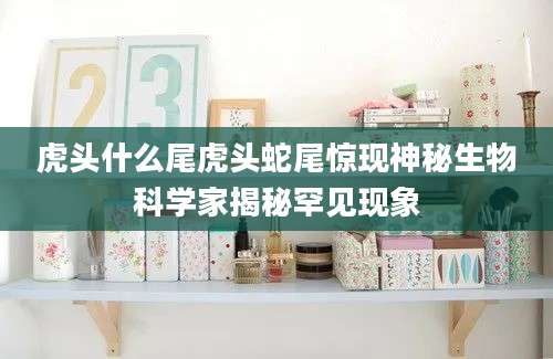 虎头什么尾虎头蛇尾惊现神秘生物科学家揭秘罕见现象