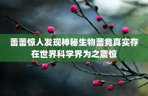 蕾蕾惊人发现神秘生物蕾竟真实存在世界科学界为之震惊