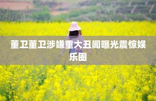 董卫董卫涉嫌重大丑闻曝光震惊娱乐圈