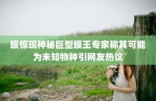 蟆惊现神秘巨型蟆王专家称其可能为未知物种引网友热议