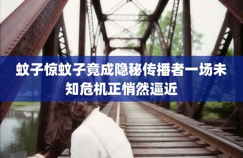 蚊子惊蚊子竟成隐秘传播者一场未知危机正悄然逼近