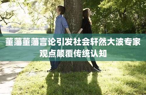 董藩董藩言论引发社会轩然大波专家观点颠覆传统认知