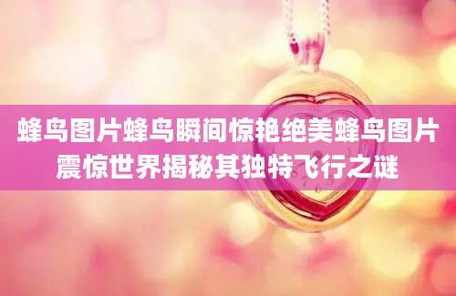 蜂鸟图片蜂鸟瞬间惊艳绝美蜂鸟图片震惊世界揭秘其独特飞行之谜