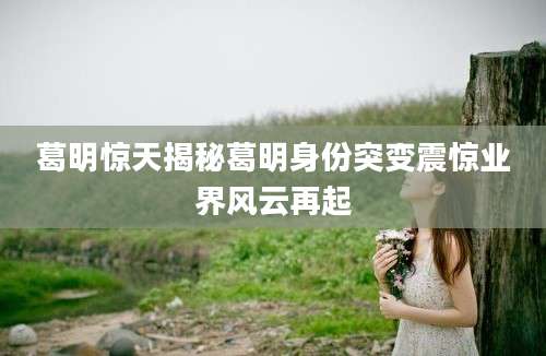 葛明惊天揭秘葛明身份突变震惊业界风云再起