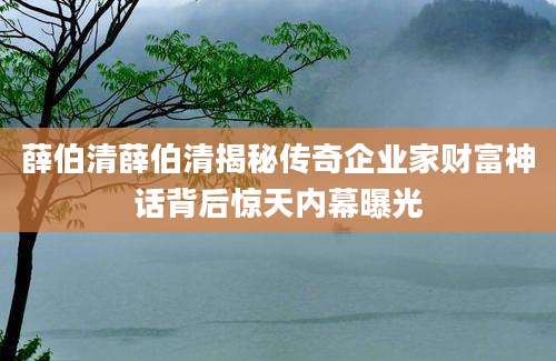 薛伯清薛伯清揭秘传奇企业家财富神话背后惊天内幕曝光