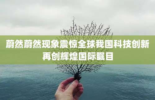 蔚然蔚然现象震惊全球我国科技创新再创辉煌国际瞩目