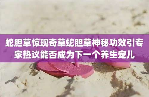 蛇胆草惊现奇草蛇胆草神秘功效引专家热议能否成为下一个养生宠儿