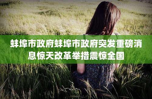 蚌埠市政府蚌埠市政府突发重磅消息惊天改革举措震惊全国