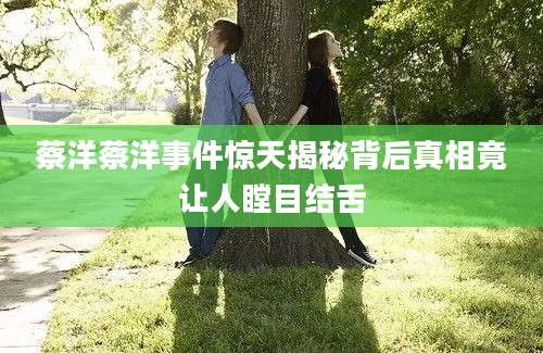 蔡洋蔡洋事件惊天揭秘背后真相竟让人瞠目结舌
