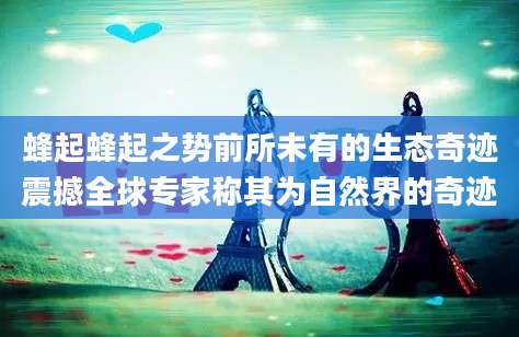 蜂起蜂起之势前所未有的生态奇迹震撼全球专家称其为自然界的奇迹