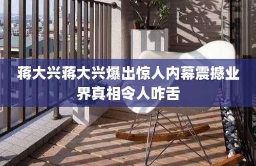 蒋大兴蒋大兴爆出惊人内幕震撼业界真相令人咋舌
