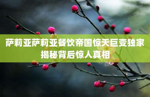 萨莉亚萨莉亚餐饮帝国惊天巨变独家揭秘背后惊人真相