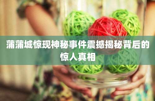 蒲蒲城惊现神秘事件震撼揭秘背后的惊人真相