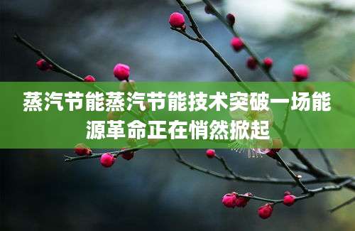 蒸汽节能蒸汽节能技术突破一场能源革命正在悄然掀起
