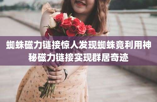 蜘蛛磁力链接惊人发现蜘蛛竟利用神秘磁力链接实现群居奇迹
