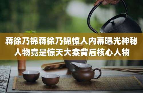 蒋徐乃锦蒋徐乃锦惊人内幕曝光神秘人物竟是惊天大案背后核心人物