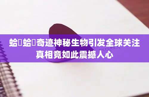 蛤乸蛤乸奇迹神秘生物引发全球关注真相竟如此震撼人心