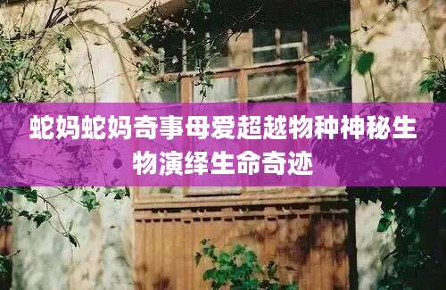 蛇妈蛇妈奇事母爱超越物种神秘生物演绎生命奇迹