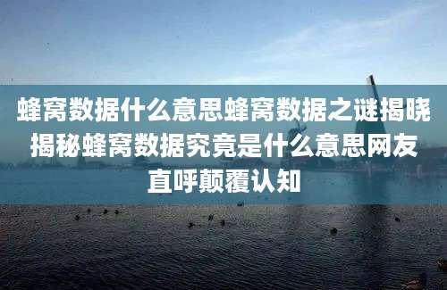 蜂窝数据什么意思蜂窝数据之谜揭晓揭秘蜂窝数据究竟是什么意思网友直呼颠覆认知
