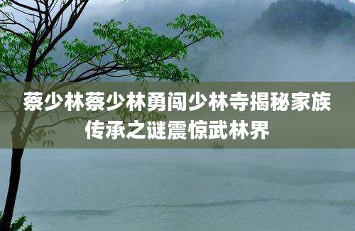 蔡少林蔡少林勇闯少林寺揭秘家族传承之谜震惊武林界