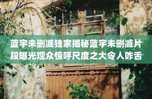 蓝宇未删减独家揭秘蓝宇未删减片段曝光观众惊呼尺度之大令人咋舌