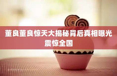董良董良惊天大揭秘背后真相曝光震惊全国