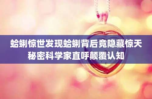 蛤蜊惊世发现蛤蜊背后竟隐藏惊天秘密科学家直呼颠覆认知