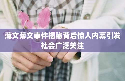 薄文薄文事件揭秘背后惊人内幕引发社会广泛关注