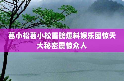 葛小松葛小松重磅爆料娱乐圈惊天大秘密震惊众人