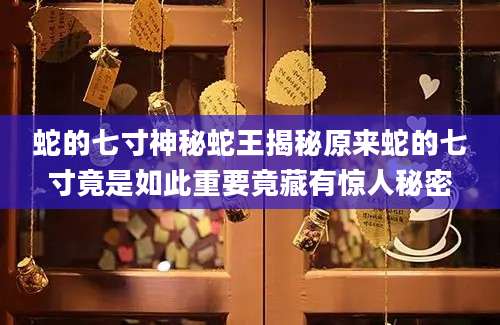 蛇的七寸神秘蛇王揭秘原来蛇的七寸竟是如此重要竟藏有惊人秘密