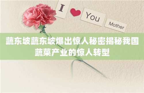 蔬东坡蔬东坡爆出惊人秘密揭秘我国蔬菜产业的惊人转型