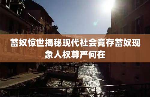 蓄奴惊世揭秘现代社会竟存蓄奴现象人权尊严何在